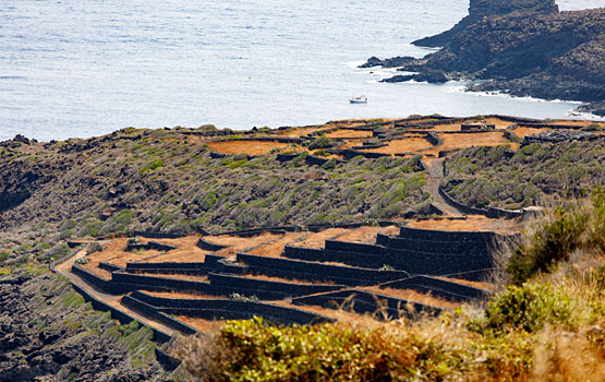 The fortified village of Mursia